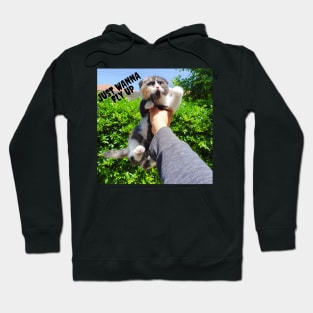 The cats just wanna fly up Hoodie